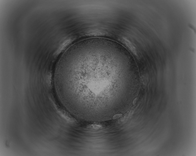 X0000093210159200709261603
