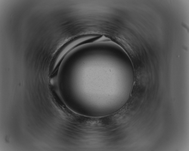 X0000093210160200709261603