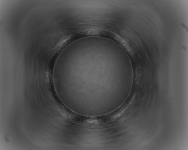 X0000093210161200709261603