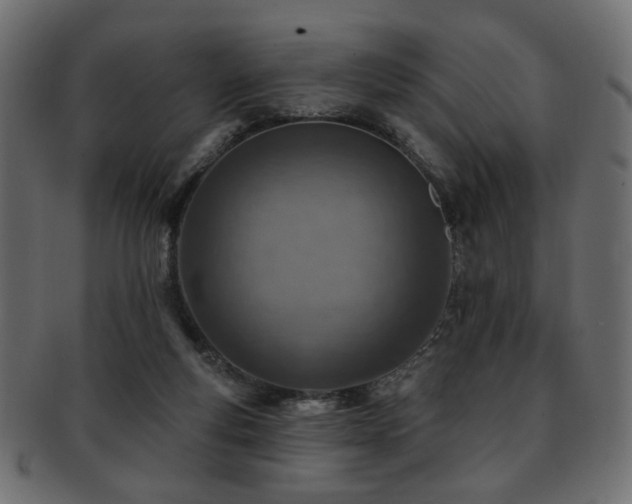 X0000093210163200709261603