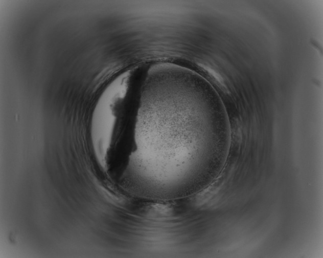 X0000093210166200709261603