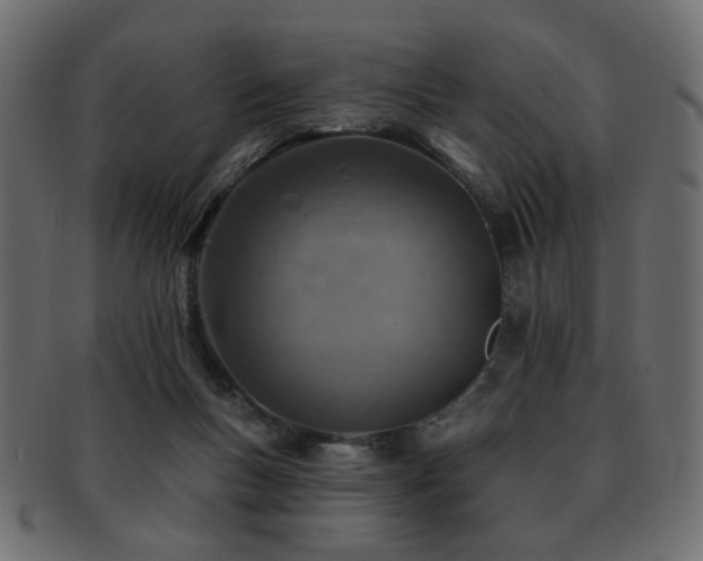 X0000093210167200709261603