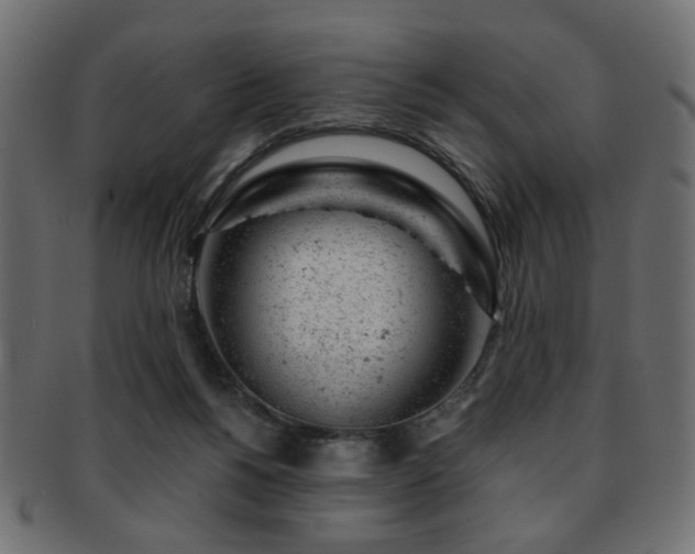 X0000093210168200709261603