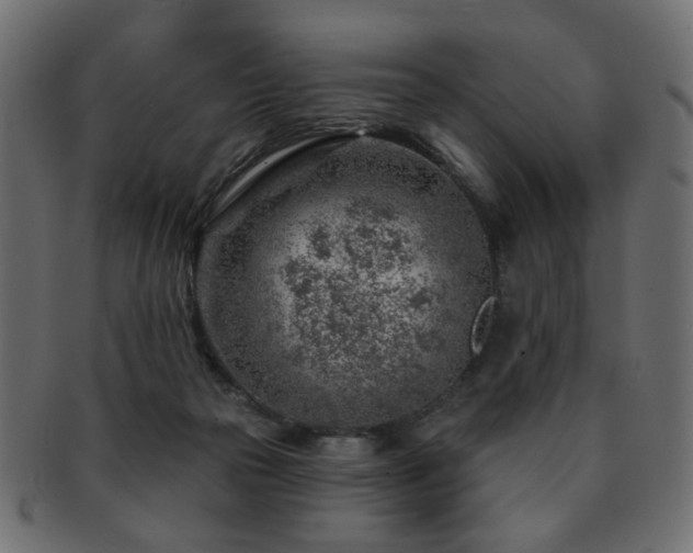 X0000093210169200709261603