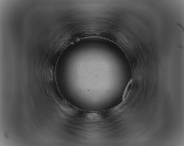 X0000093210183200709261604