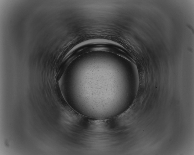 X0000093210184200709261604
