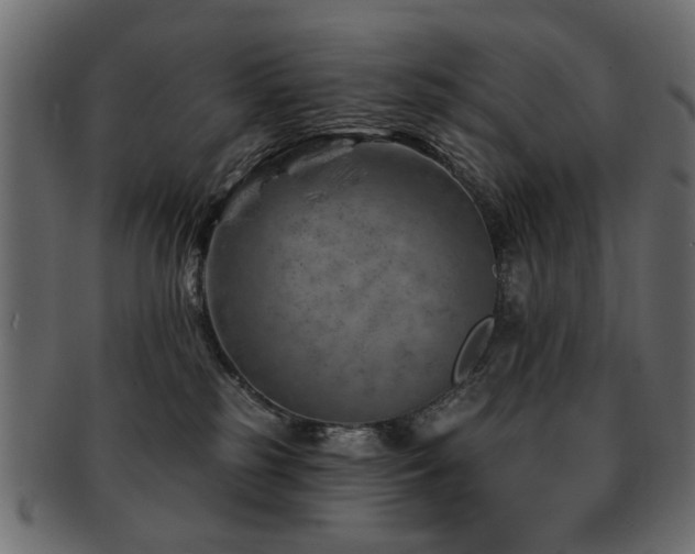 X0000093210185200709261604