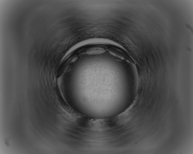 X0000093210186200709261604