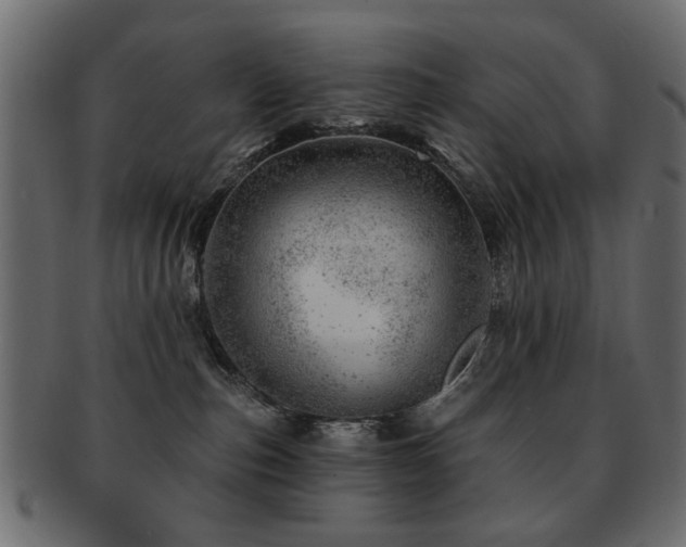 X0000093210187200709261604