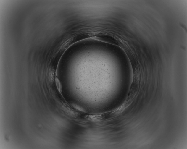 X0000093210188200709261604