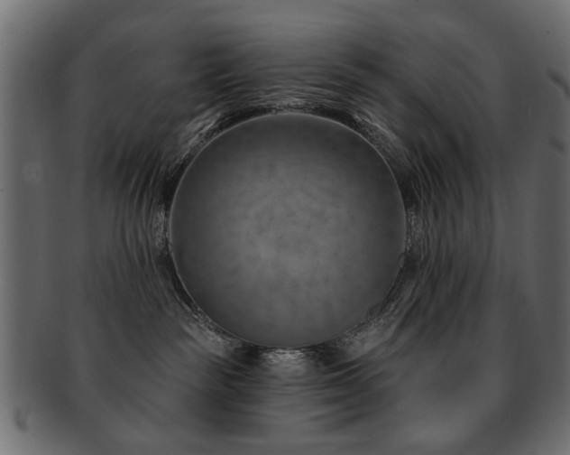 X0000093210189200709261604