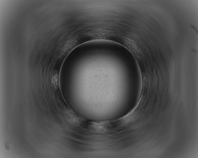 X0000093210190200709261604