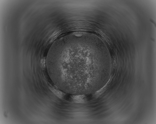 X0000093210191200709261604