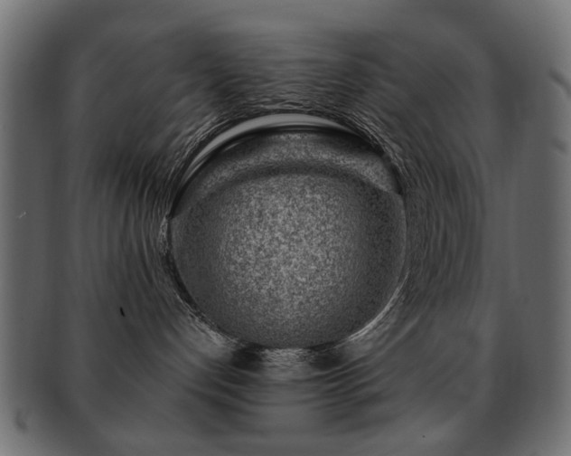 X0000093210192200709261604