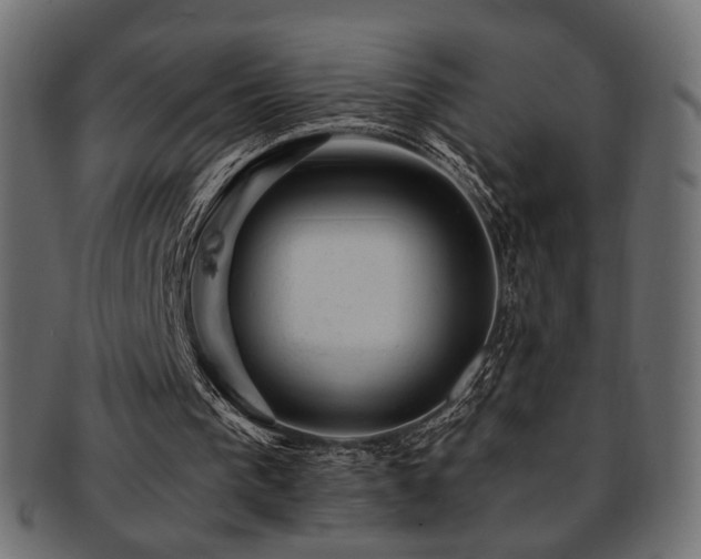 X0000093210193200709261603