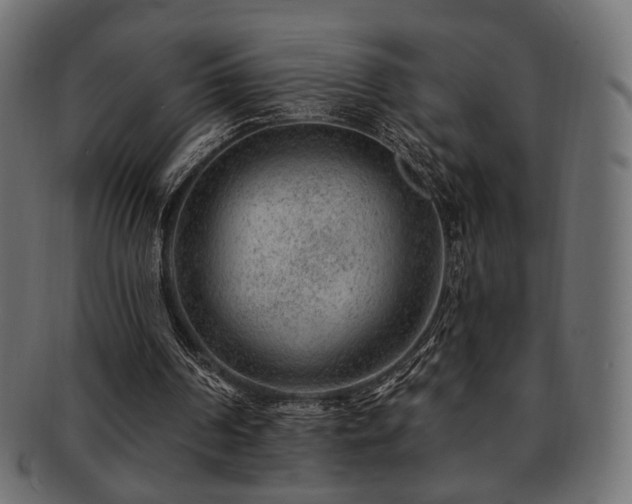 X0000093210194200709261603