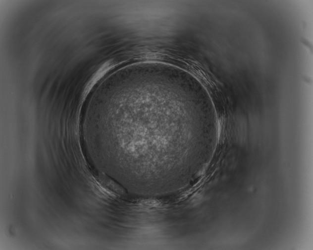 X0000093210195200709261603