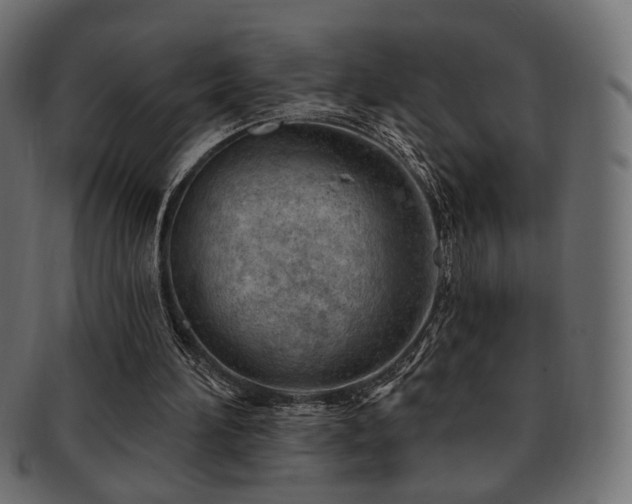 X0000093210196200709261603
