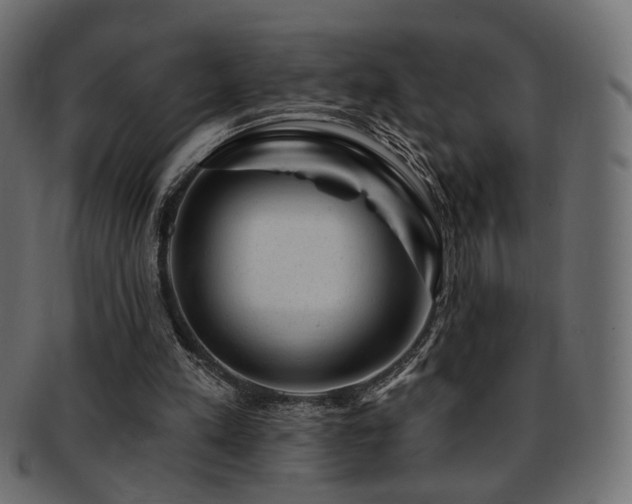 X0000093210197200709261603