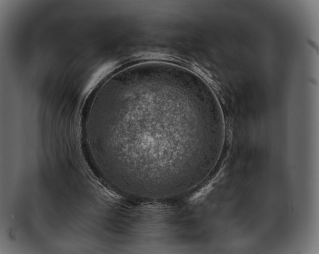 X0000093210199200709261603