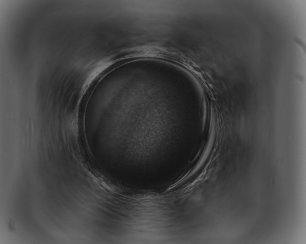 X0000093210200200709261603
