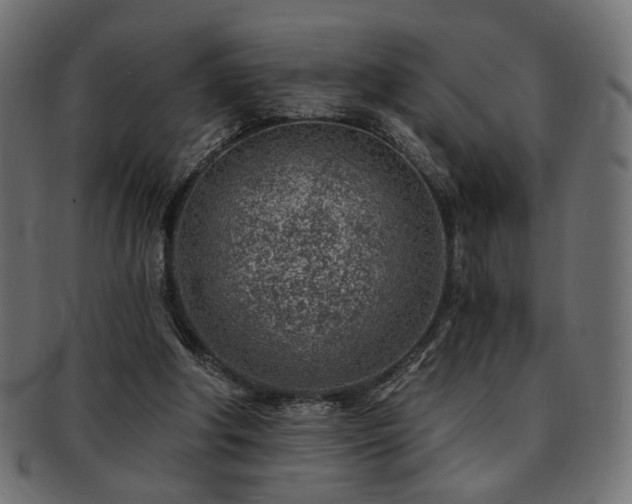 X0000093210202200709261603