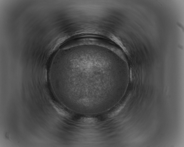 X0000093210205200709261603