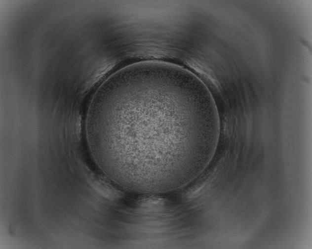 X0000093210206200709261603
