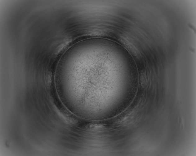 X0000093210208200709261603