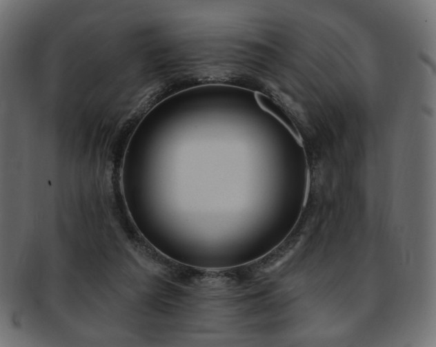 X0000093210209200709261603