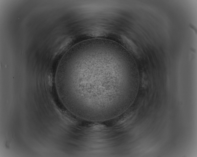 X0000093210210200709261603