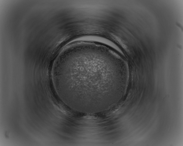 X0000093210211200709261603