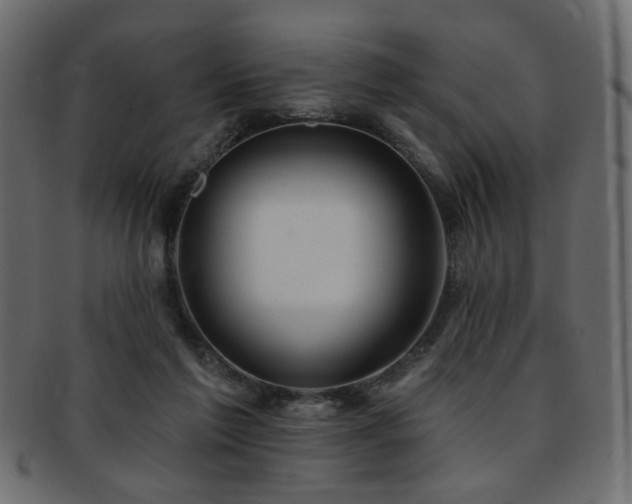 X0000093210213200709261603