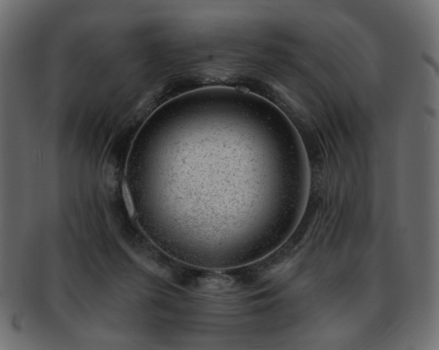 X0000093210215200709261603