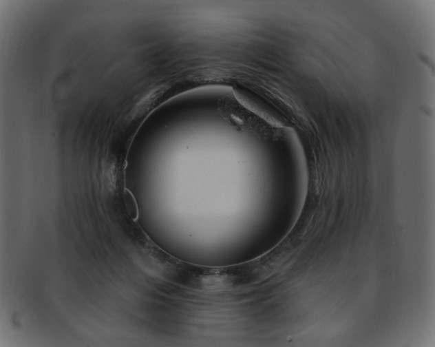 X0000093210216200709261603