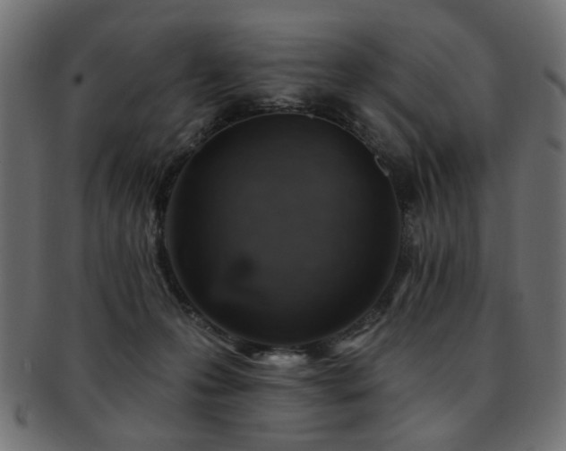 X0000093210223200709261603