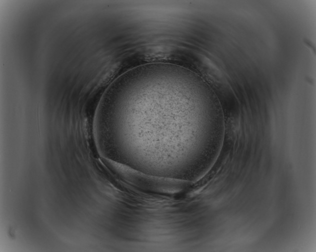 X0000093210224200709261603