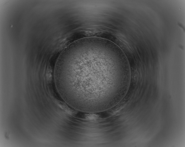 X0000093210226200709261603