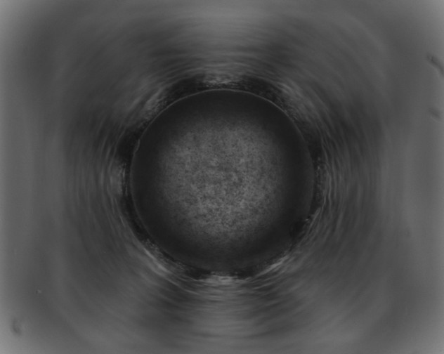 X0000093210227200709261603
