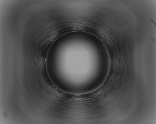 X0000093210228200709261603