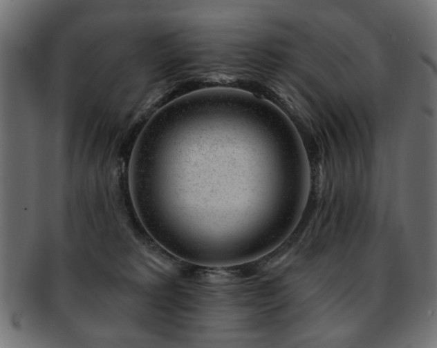 X0000093210229200709261603