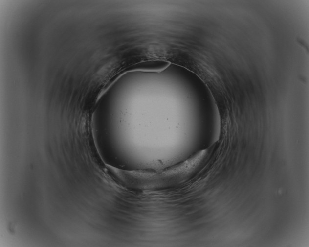 X0000093210233200709261603