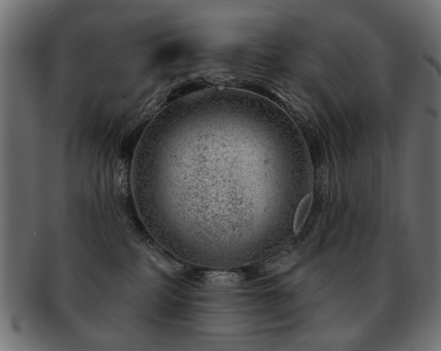 X0000093210234200709261603