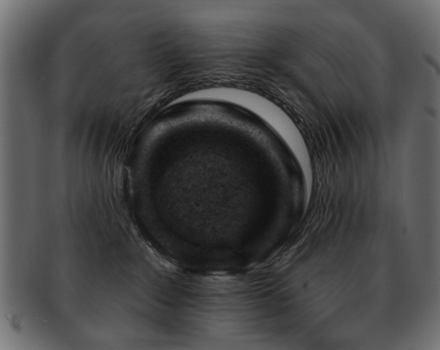 X0000093210235200709261603