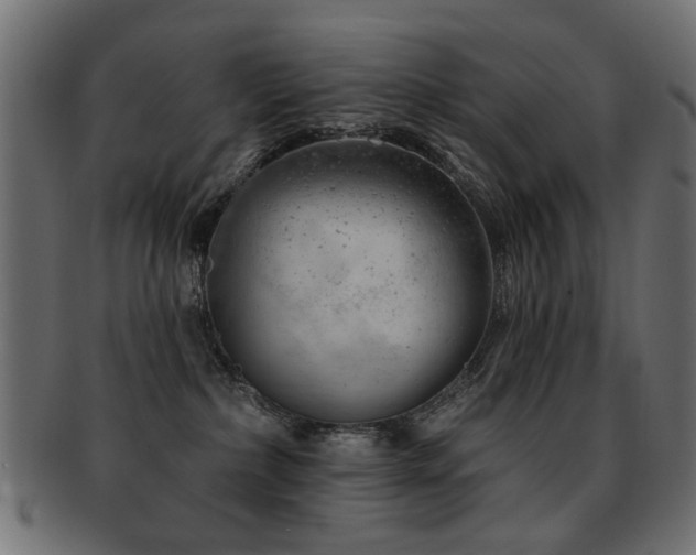 X0000093210236200709261602
