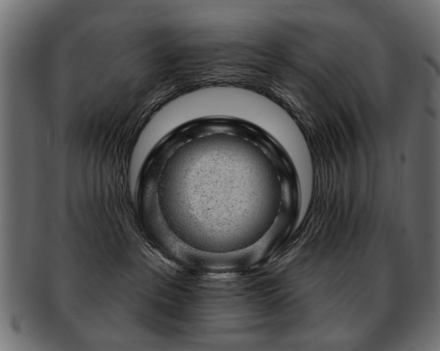 X0000093210237200709261602