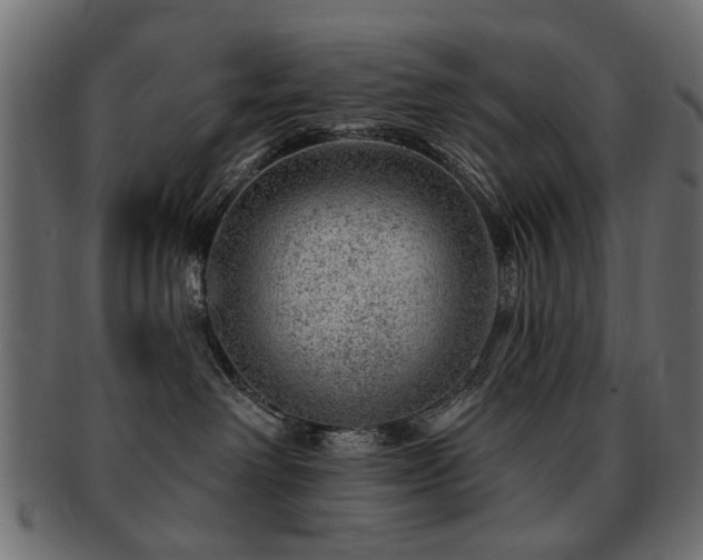 X0000093210238200709261602