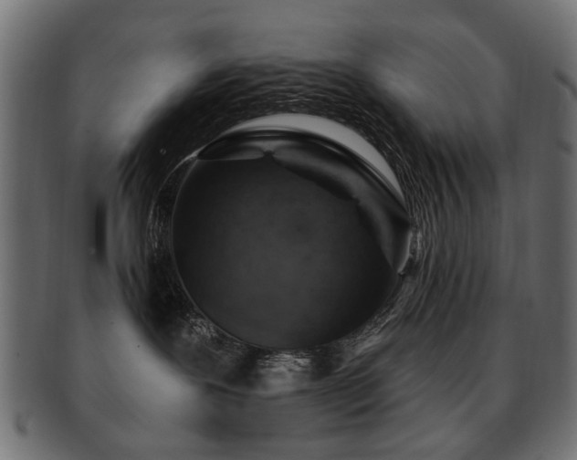 X0000093210239200709261602