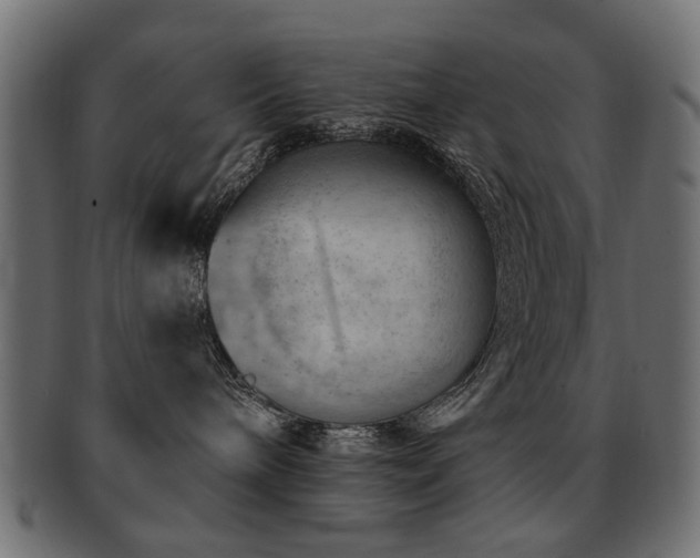 X0000093210240200709261602