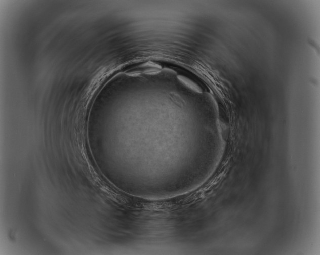 X0000093210241200709261602